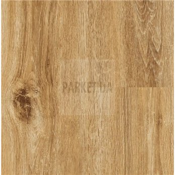 SPC Riley Oak P1004 Wood Falquon