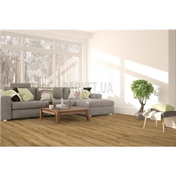 SPC Riley Oak P1004 Wood Falquon