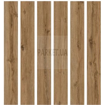SPC Jackson Oak P1006 Wood Falquon 