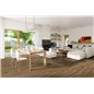 SPC Jackson Oak P1006 Wood Falquon SPC Jackson Oak P1006 Wood Falquon