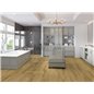 SPC Honey Oak P7001 Wood Falquon