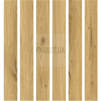 SPC Honey Oak P7001 Wood Falquon