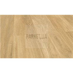 SPC Nature Oak P6004 Wood Falquon