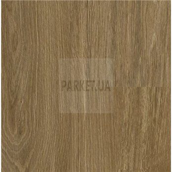 SPC Calm Oak P6003 Wood Falquon