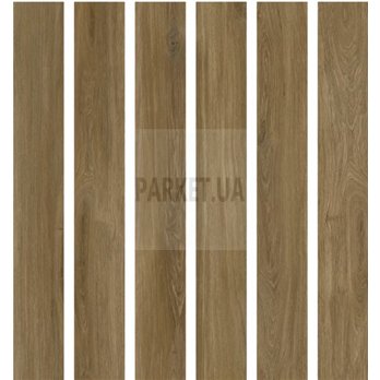 SPC Calm Oak P6003 Wood Falquon