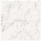 SPC Carrara Marble D2921 Stone Falquon