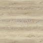 SPC 001981 Дуб Альпийский StoneX