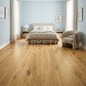 SPC Riley Oak P1004 Wood Falquon SPC Riley Oak P1004 Wood Falquon