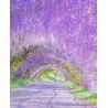 Wisteria