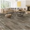 Colorado Christy Carpets