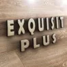 Exquisit plus