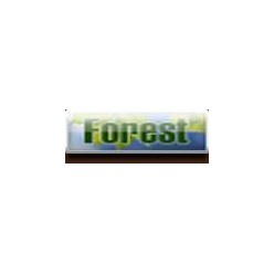FOREST(Ukraine)
