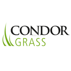 Condor Grass (Netherlands)